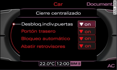 Pantalla: Men del cierre centralizado